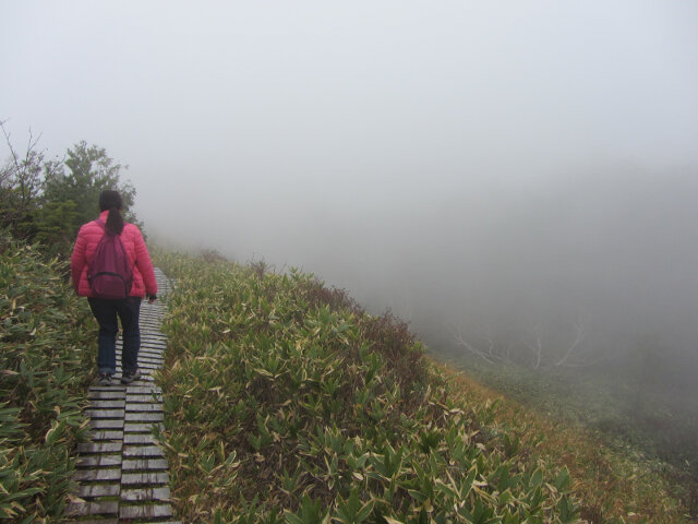 立山七曲．弘法健行遊步道