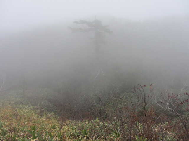 立山七曲．弘法健行遊步道