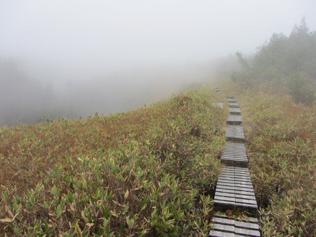 立山七曲．弘法健行遊步道