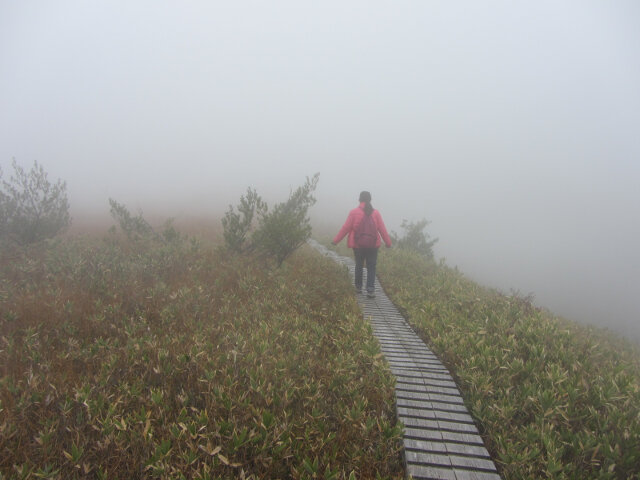 立山七曲．弘法健行遊步道