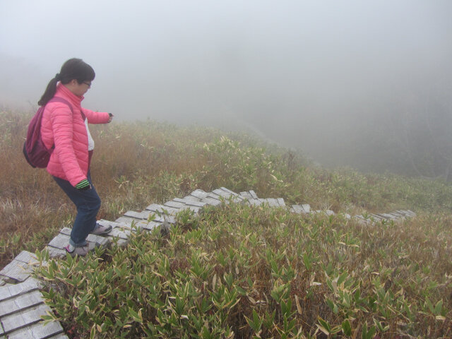 立山七曲．弘法健行遊步道