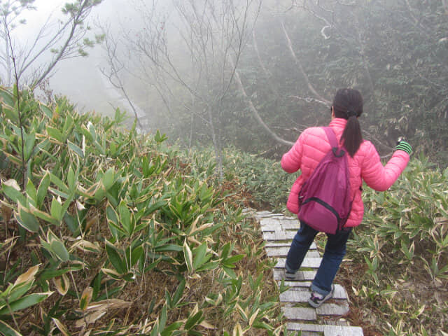 立山七曲．弘法健行遊步道