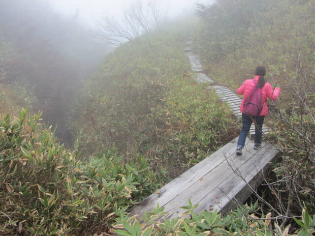 立山七曲．弘法健行遊步道