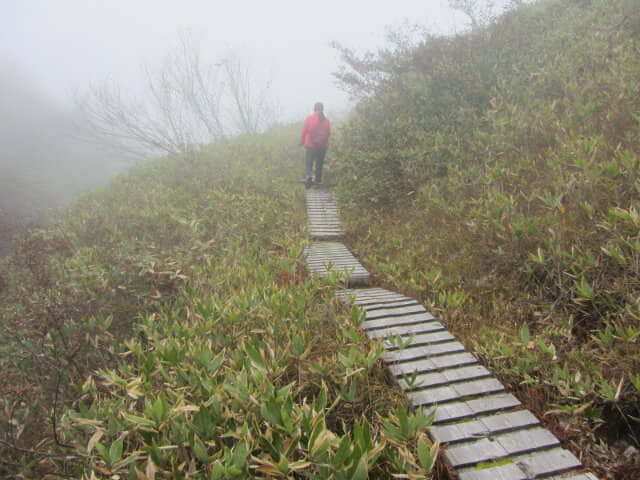 立山七曲．弘法健行遊步道