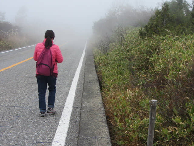 立山弘法至八郎坂下山口 立山高原馬路