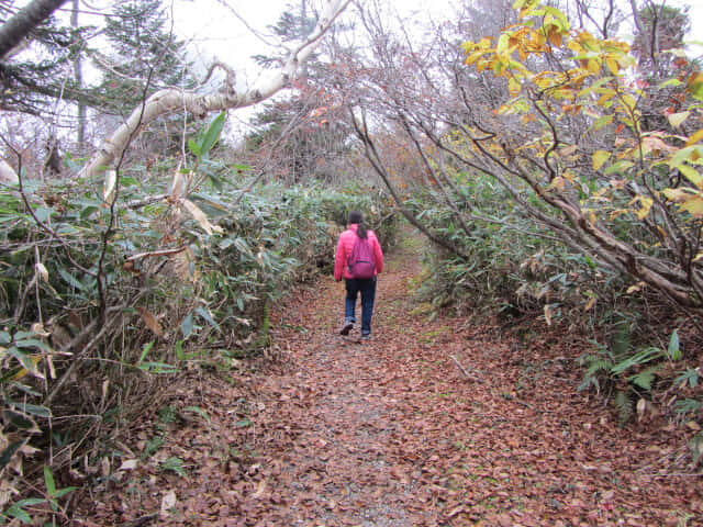 立山八郎坂