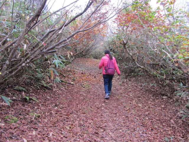 立山八郎坂