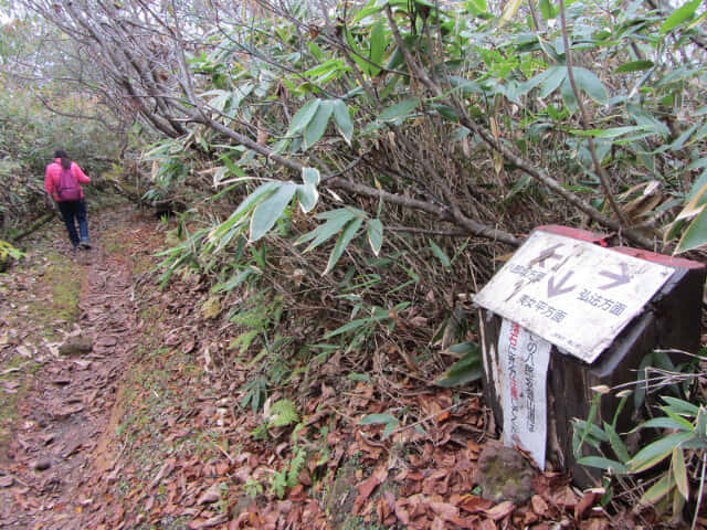 立山八郎坂