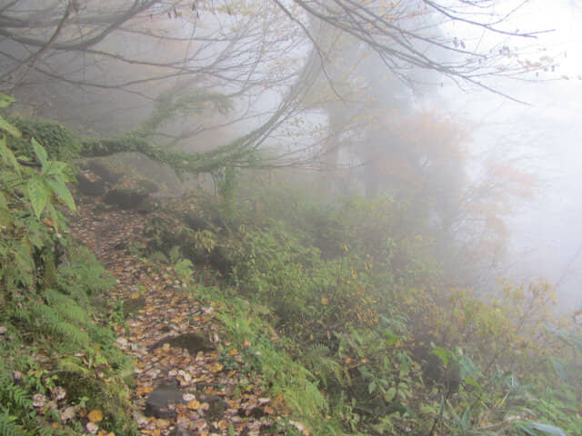 立山八郎坂