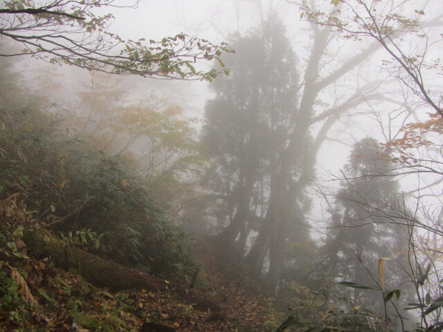 立山八郎坂