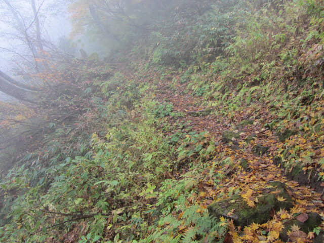 立山八郎坂崎嶇險峻山路