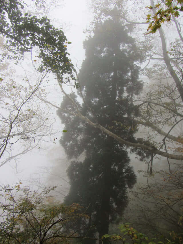 立山八郎坂