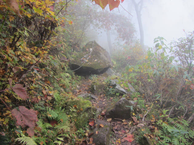 立山八郎坂崎嶇險峻山路