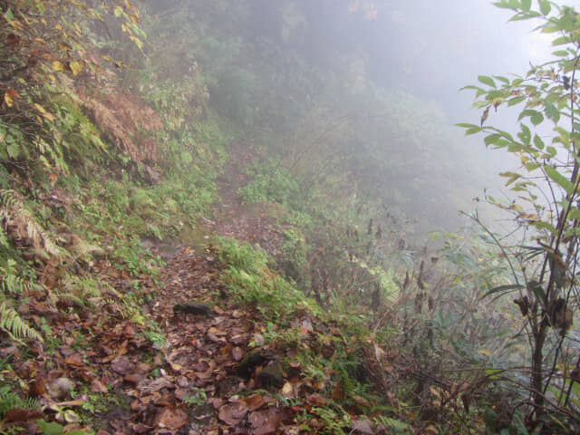 立山八郎坂