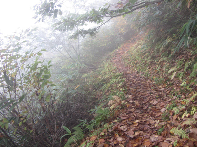 立山八郎坂