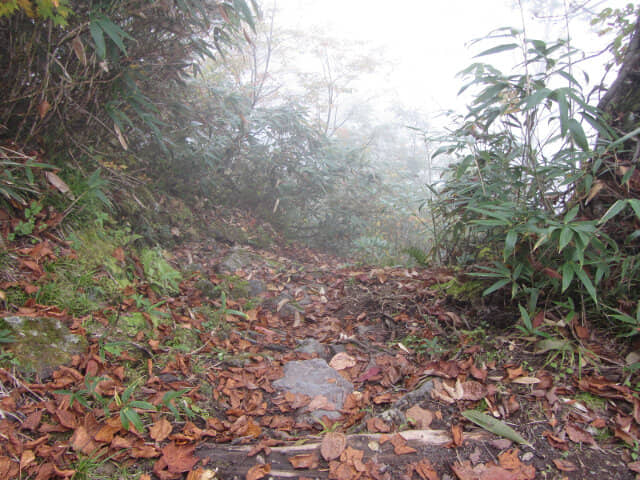 立山八郎坂