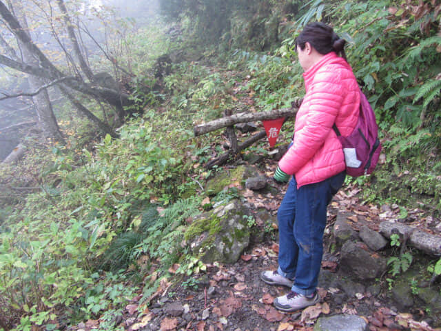 立山八郎坂陡峭崎嶇山路