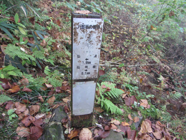 立山八郎坂陡峭崎嶇山路