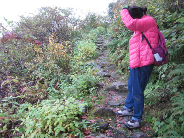 立山八郎坂