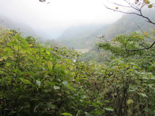 立山八郎坂