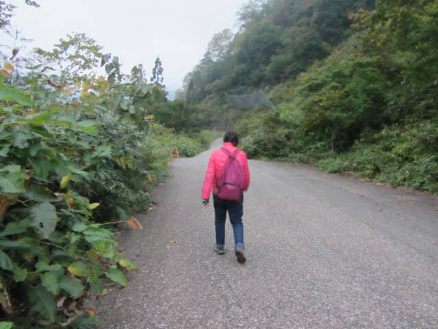 立山．八郎坂登山口 步行到 稱瀑布巴士站 (称名滝巴士站)