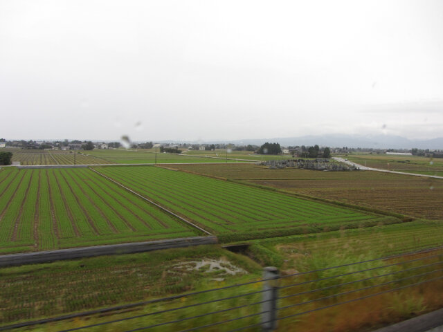 高岡駅乘加越能世界遺産巴士往 五箇山沿途風景