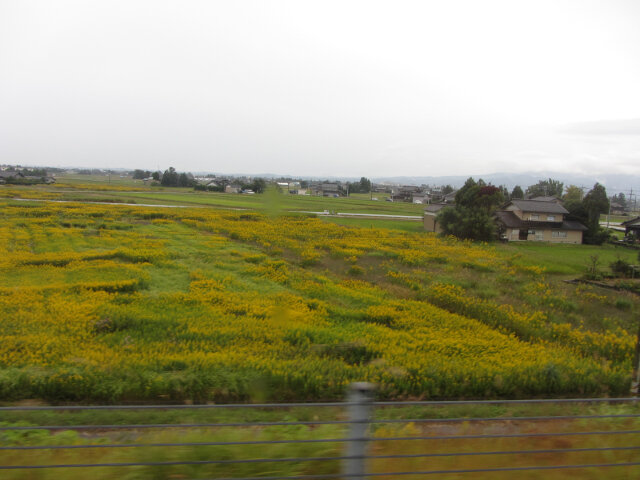 高岡駅乘加越能世界遺産巴士往 五箇山沿途風景