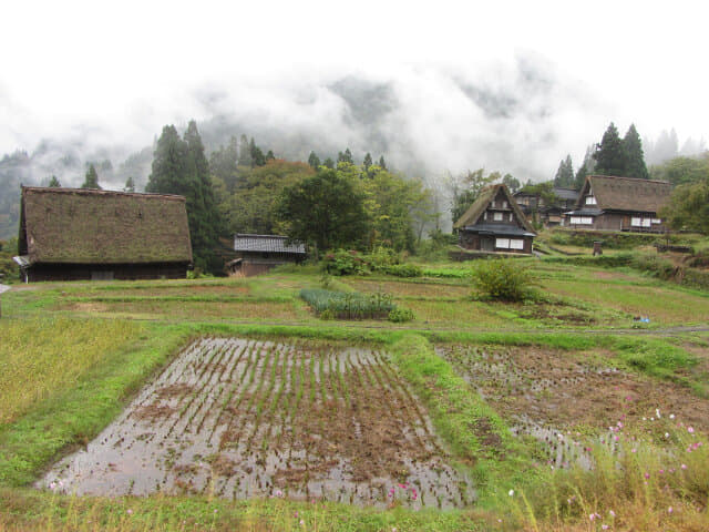 五箇山相倉合掌村