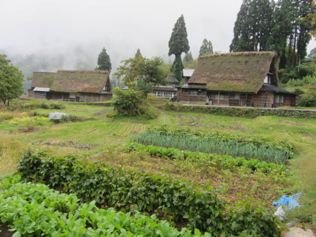 相倉合掌村