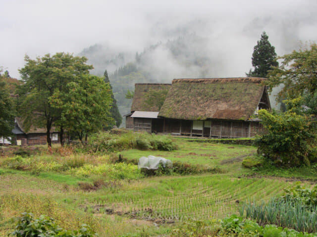 相倉合掌村