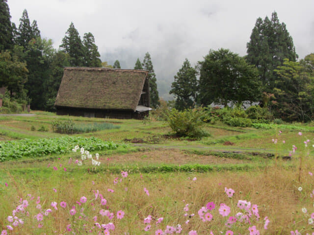 相倉合掌村