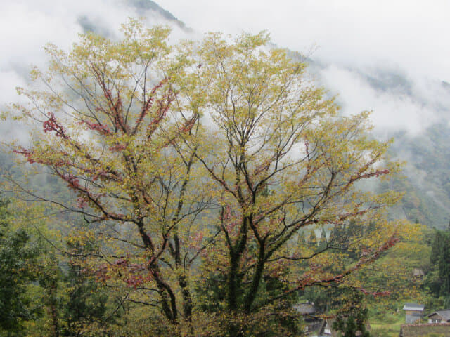 五箇山．相倉合掌造集落