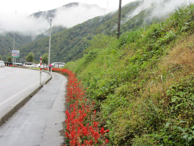 五箇山．菅沼合掌聚落