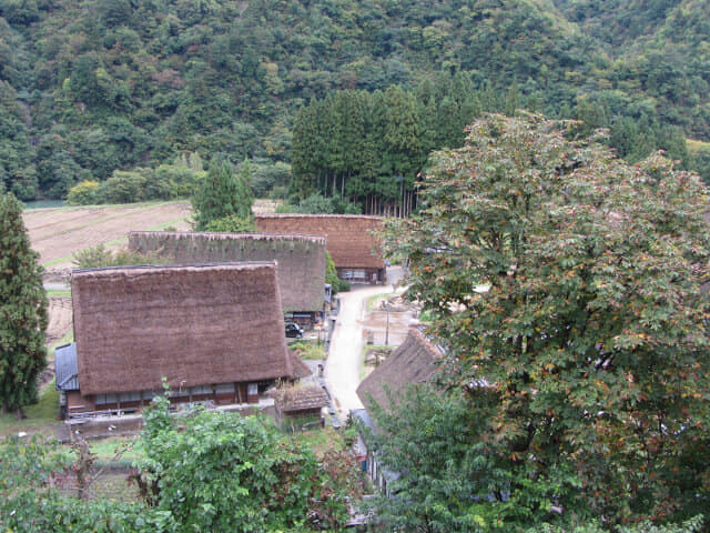 五箇山．菅沼合掌集落