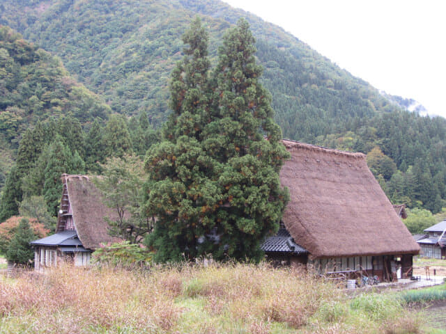 五箇山菅沼合掌造集落