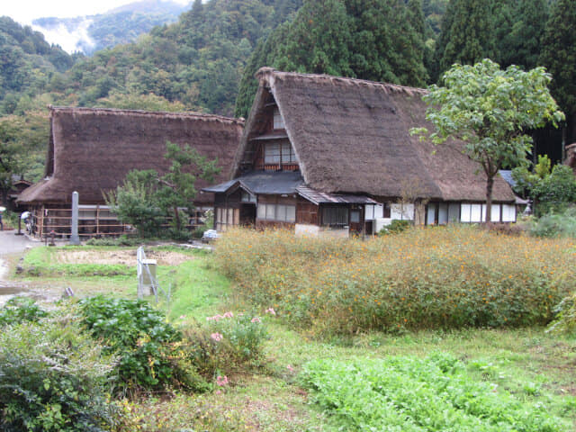 五箇山菅沼合掌集落