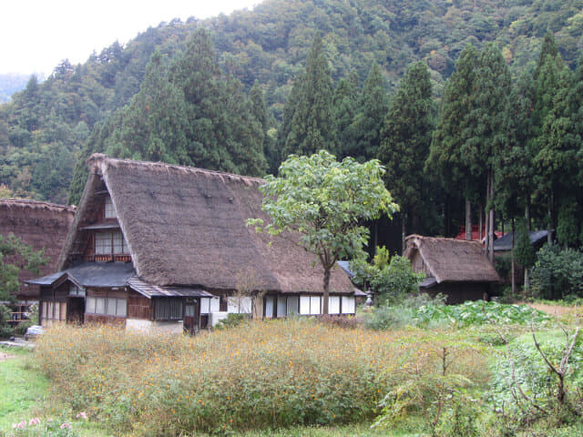 五箇山菅沼合掌村集落