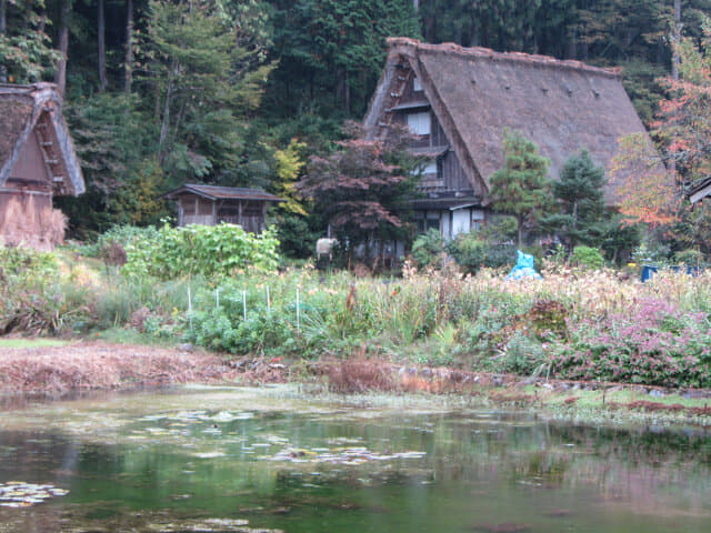 白川鄉合掌村