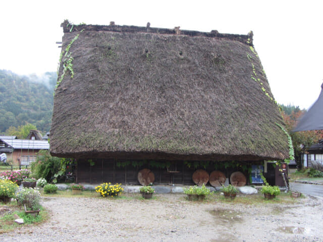 白川鄉合掌村