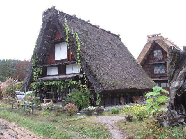 白川鄉合掌村