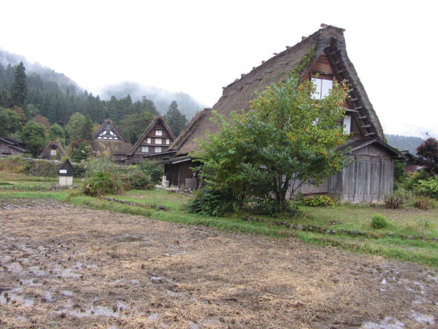 白川鄉合掌村