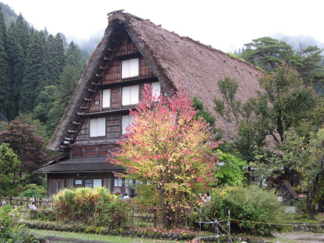 白川鄉合掌村 紅葉