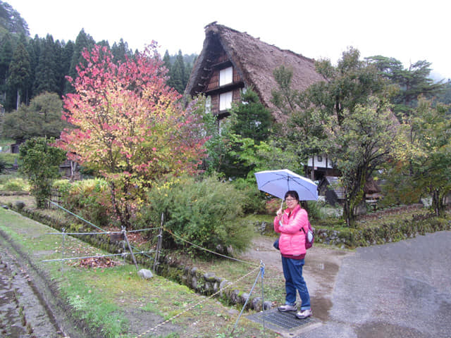 白川鄉合掌村 紅葉