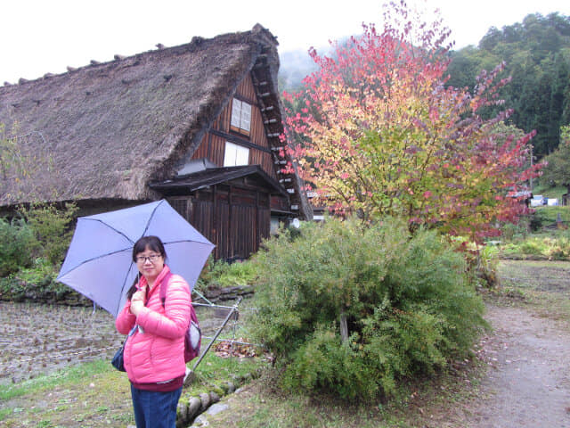 白川鄉合掌村 紅葉