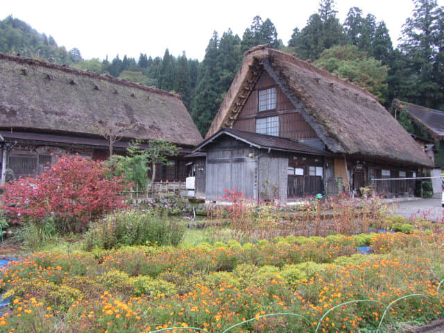 白川鄉合掌村