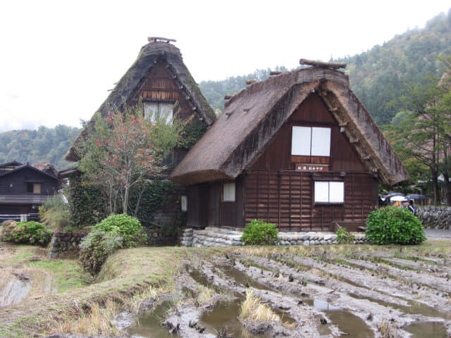 白川鄉合掌村