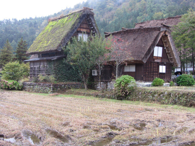 白川鄉合掌村