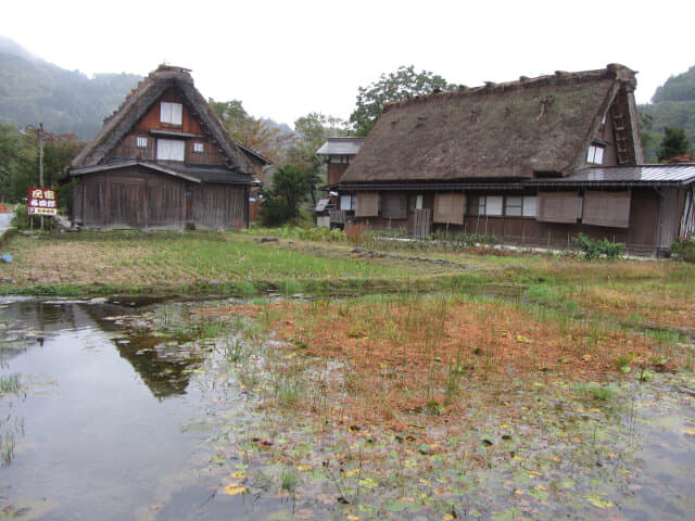 白川鄉合掌村