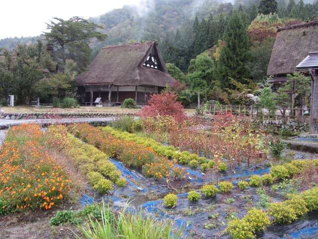 白川郷合掌村