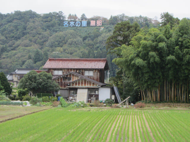 富山地鐵本線 新黑部駅